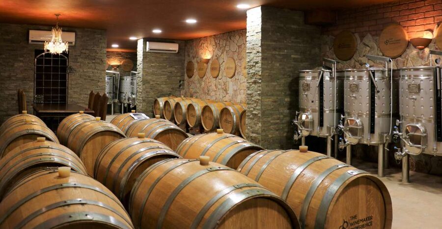 Lagoa: Guided Winery Tour and Local Wine Tasting - Winery tour and barrel cellar: where the production story gets real
