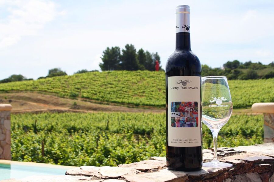 Lagoa: Guided Winery Tour and Local Wine Tasting - Should you book Lagoa: Guided Winery Tour and Local Wine Tasting?