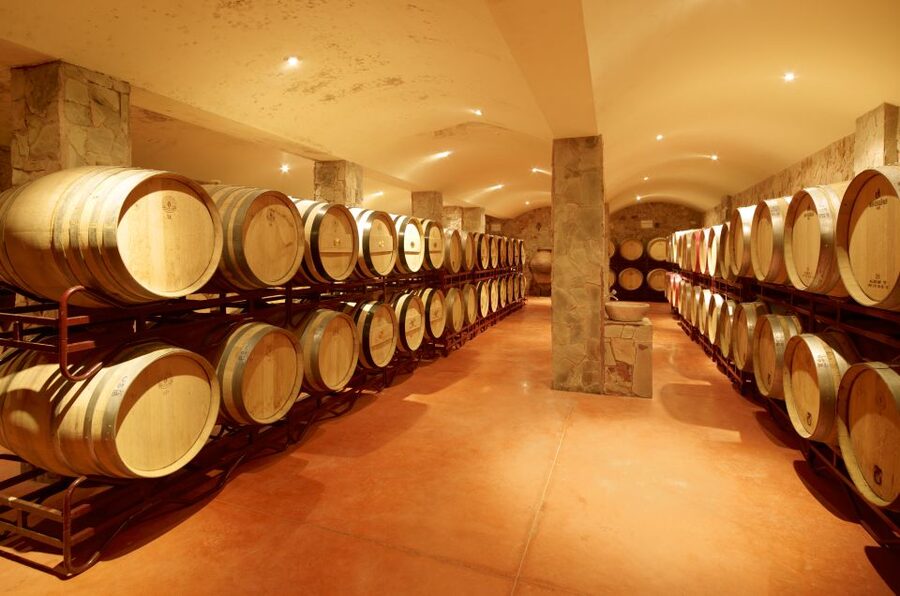 Lagoa: Guided Winery Tour and Local Wine Tasting - Meeting point and timing: how to make the 1.5 hours feel unrushed