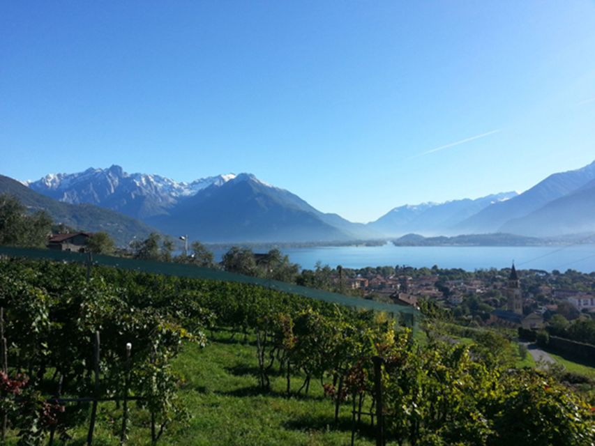 Lake Como: Winery Tour with Wine Tasting - The view isn’t decoration: it changes how you taste