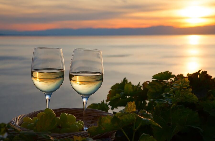 Lake Como: Winery Tour with Wine Tasting - Practical tips that make the day smoother