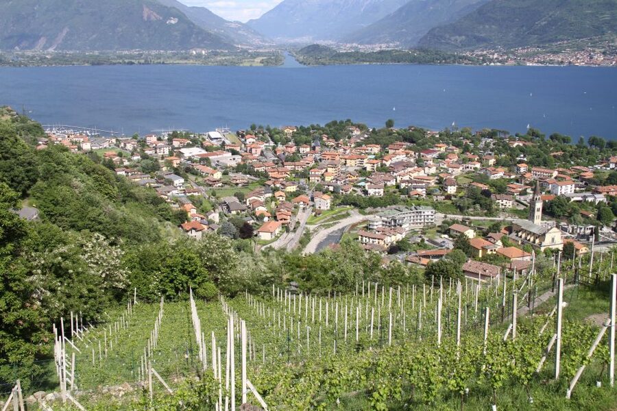 Lake Como: Winery Tour with Wine Tasting - Getting to the winery in Domaso without losing your afternoon