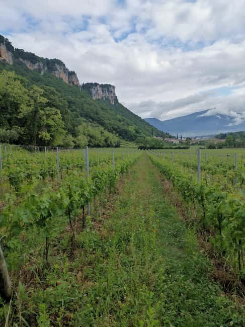 LAKE GARDA: VINEYARD AND WINERY TOUR - Le Fraghe on Lake Garda: what makes this tour different