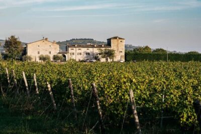 LAKE GARDA: VINEYARD AND WINERY TOUR - Who this 90-minute wine tour is best for