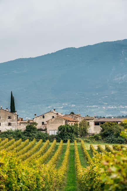 LAKE GARDA: VINEYARD AND WINERY TOUR - Small-group comfort and practical comfort rules
