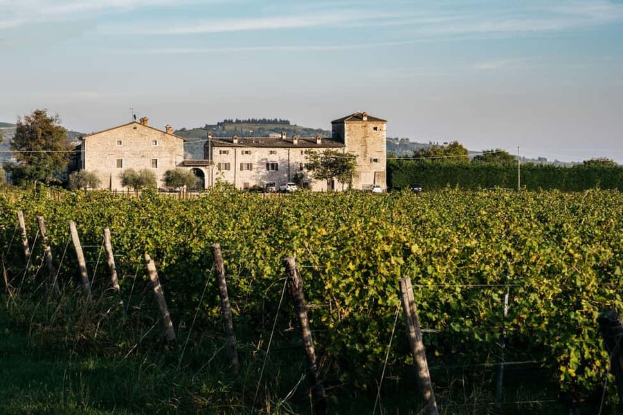 LAKE GARDA: VINEYARD AND WINERY TOUR - Who this 90-minute wine tour is best for