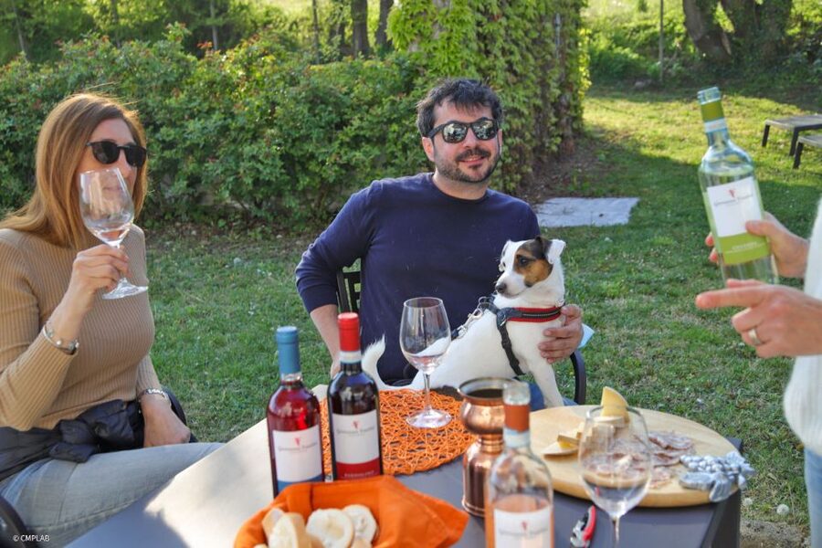 Lake Garda: Vineyard Tour and 6 wine Tasting - Practical notes that will save you time