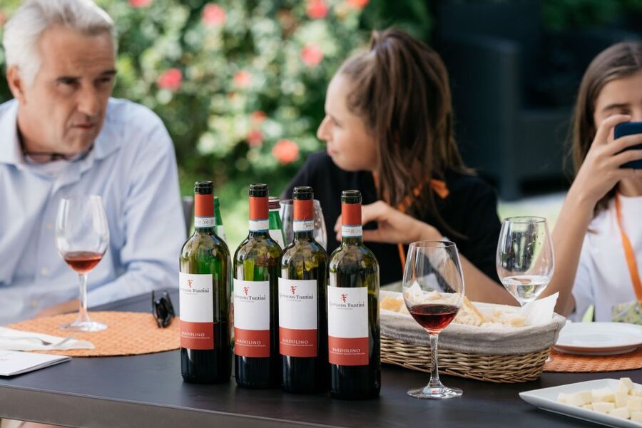 Lake Garda: Vineyard Tour and 6 wine Tasting - Lake Garda vineyards and wine, with Giovanna in the lead