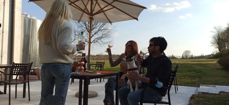 Lake Garda: Vineyard Tour and 6 wine Tasting - Ettore and Greta: the oak-aged finale you’ll remember
