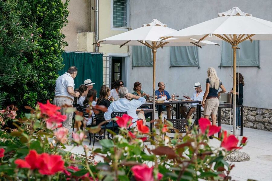 Lake Garda: Vineyard Tour and 6 wine Tasting - Timing and pace: what 2 hours feels like on the ground