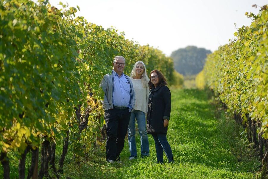 Lake Garda: Vineyard Tour and 6 wine Tasting - Price and value: what $45 buys you here
