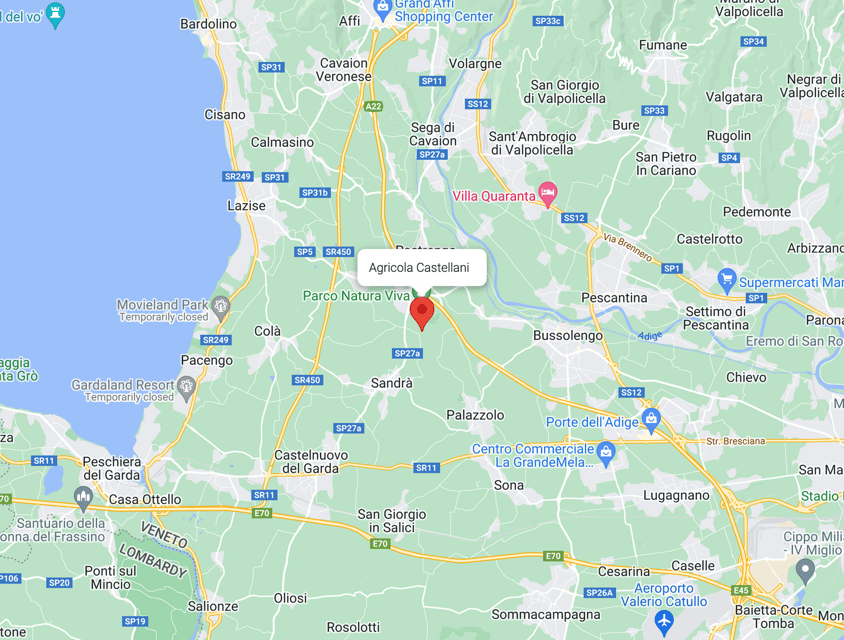 Lake Garda: Vineyard Tour and Tasting on the Hills - Arriving at Località Rotti, 69/C: plan your timing and transport