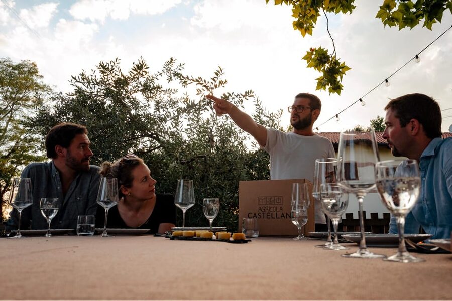 Lake Garda: Vineyard Tour and Tasting on the Hills - Stop 3: 5 organic wines plus local food (the part you’ll remember)