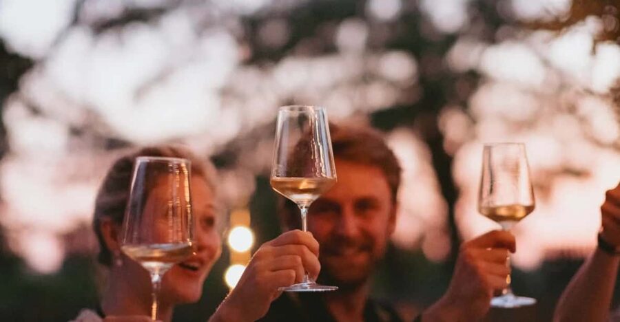 Lake Garda: Vineyard Tour and Tasting on the Hills - The $46 price tag: why it can feel like good value