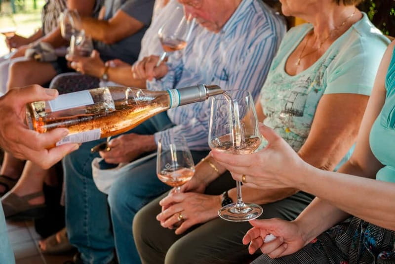 Lake Garda: Winery Tour & Wine Tasting with Local Delicacies - The Tasting Room Flight: 5 Wines That Actually Show Range