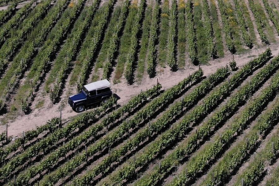 Lamego: Quinta da Portela de Baixo Winery Tour and Tasting - Key things to know before you go