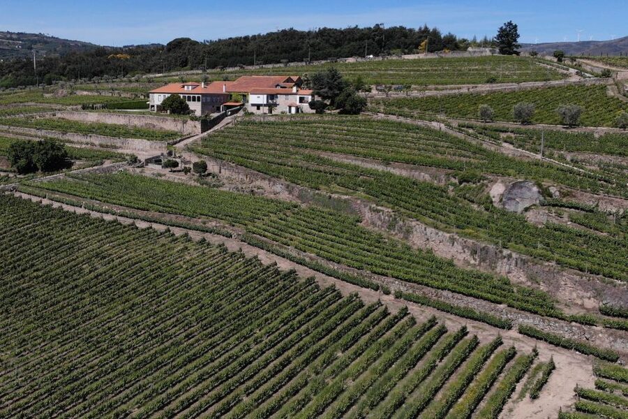 Lamego: Quinta da Portela de Baixo Winery Tour and Tasting - Getting there: transportation is on you