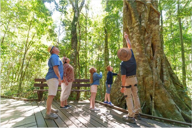 Lamington National Park, O'Reilly's & Vineyard Tour - From Surfers Paradise to the rainforest: the big idea