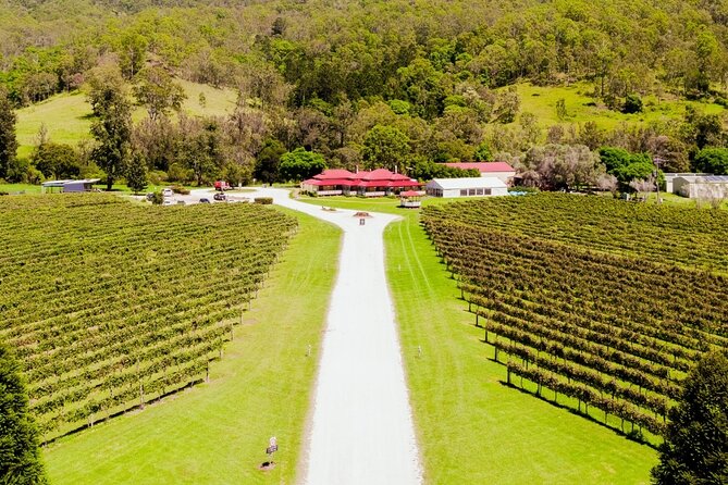Lamington National Park, O'Reilly's & Vineyard Tour - Stop 3: O’Reilly’s Rainforest Retreat and the hand-feeding moment