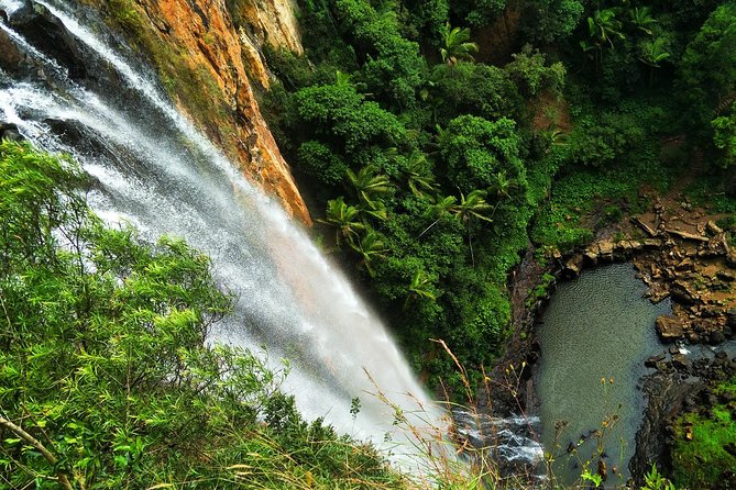 Lamington National Park, O'Reilly's & Vineyard Tour - Guides and pacing: why the day feels smooth