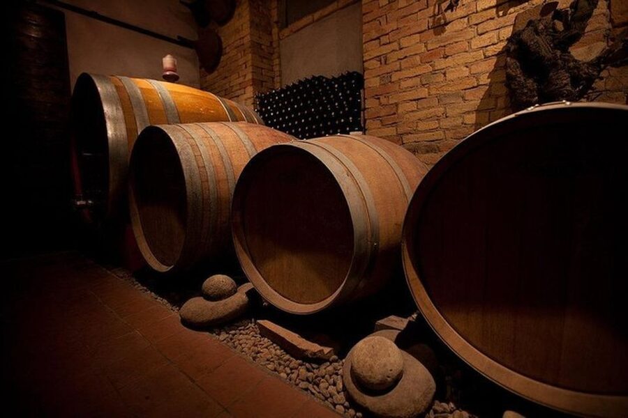 Langhe & Monferrato: Vineyard Tour and Wine Tasting - Key highlights at a glance