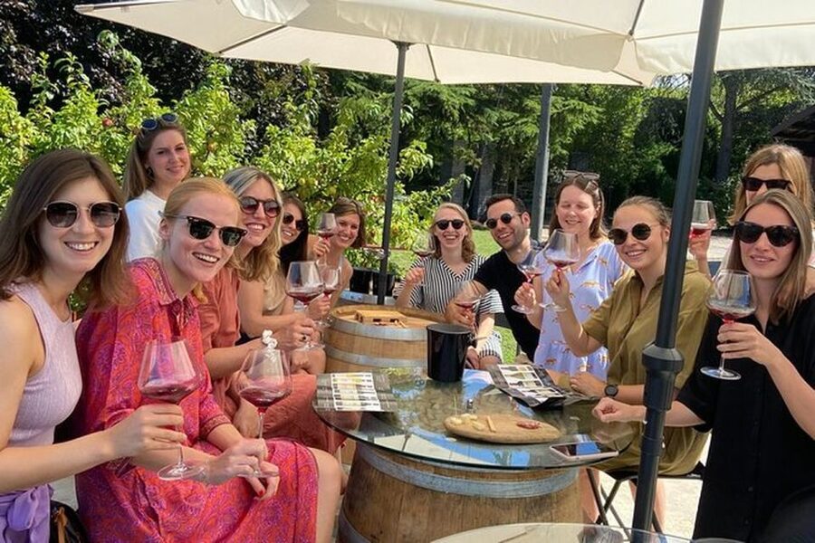 Langhe & Monferrato: Vineyard Tour and Wine Tasting - Who this tour suits best (and who should think twice)