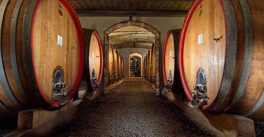 Langhe: Winery Tour and Wine Tasting - Quick highlights (what you’ll remember)