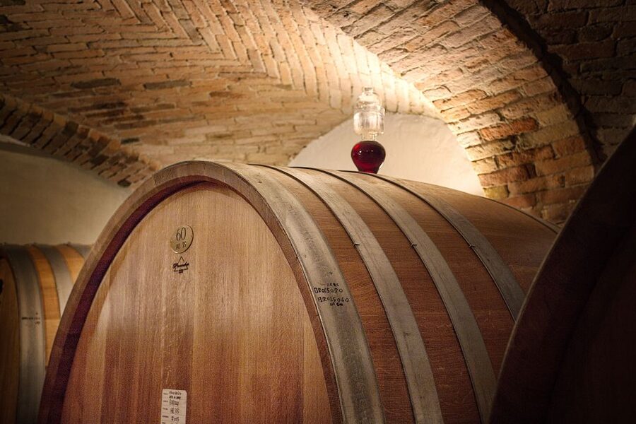 Langhe: Winery Tour and Wine Tasting - Pairing with local breadsticks: small comfort, big help
