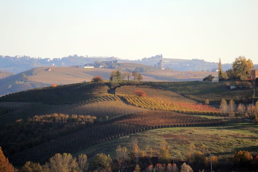 Langhe: Winery Tour and Wine Tasting - Practical tips before you go