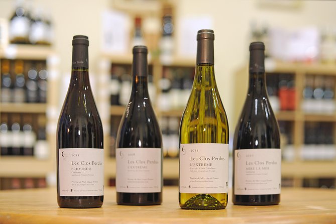 Languedoc Vineyard Tours - Carcassonne wine tour: what you’re really buying