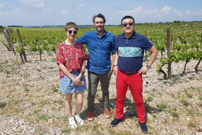 Languedoc Vineyard Tours - Wine lessons where it matters: vineyard and cellar learning