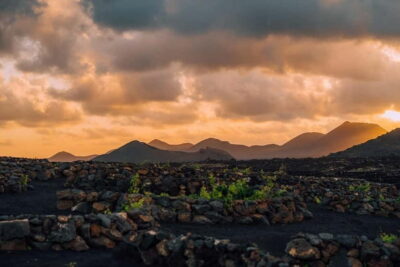 Lanzarote: Sunset vineyard tour with wine and chocolate tasting - The guided vineyard walk: Timanfaya, water culture, and grape varieties
