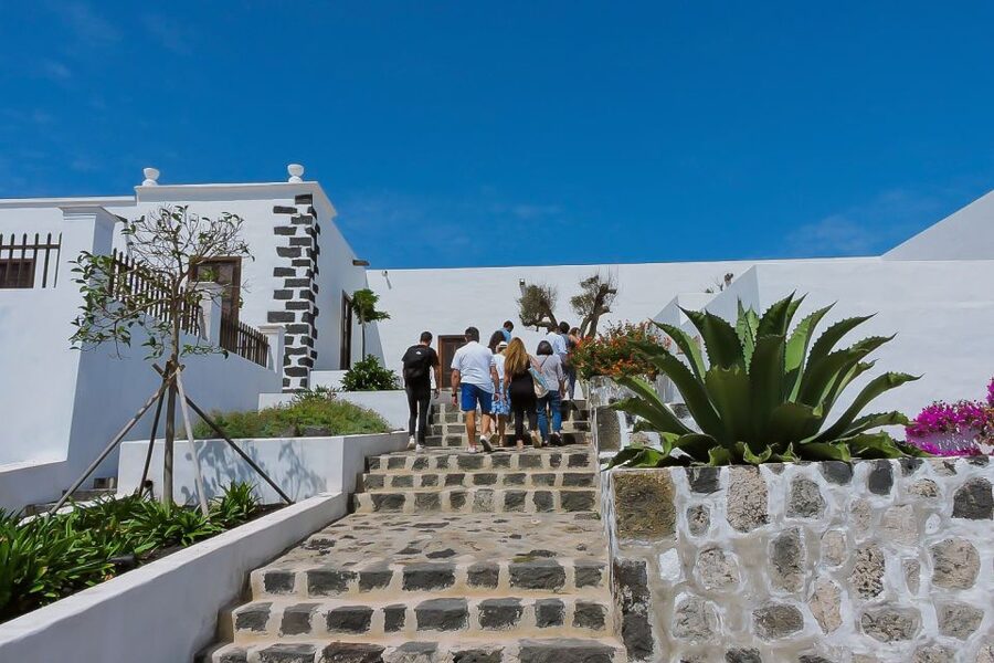 Lanzarote: Vineyard Tour with Wine and Chocolate Tasting - Key highlights worth your time