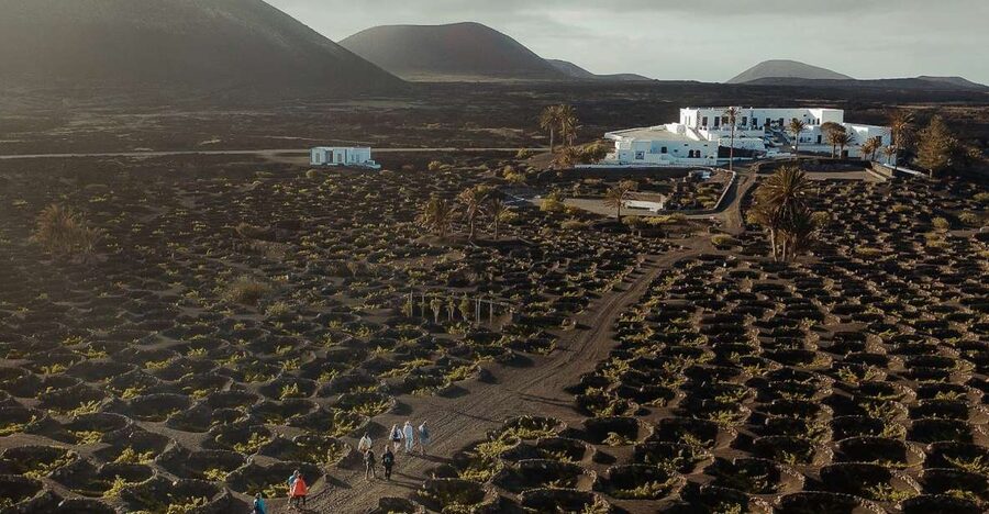 Lanzarote: Vineyard Tour with Wine and Chocolate Tasting - Timanfaya history and Lanzarote’s water culture, explained the way it should be