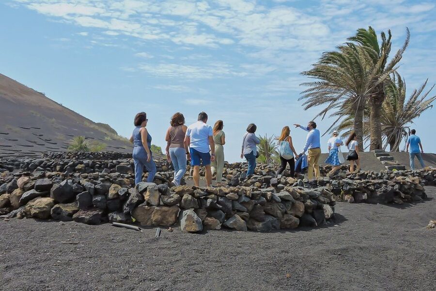 Lanzarote: Vineyard Tour with Wine and Chocolate Tasting - Chocolate pairing that actually complements the wine