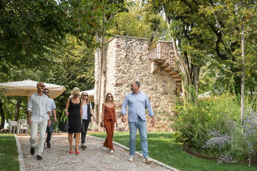 Lazise: Vineyard Tour and Organic Wine Tasting - Key things you’ll notice on this Lazise vineyard experience