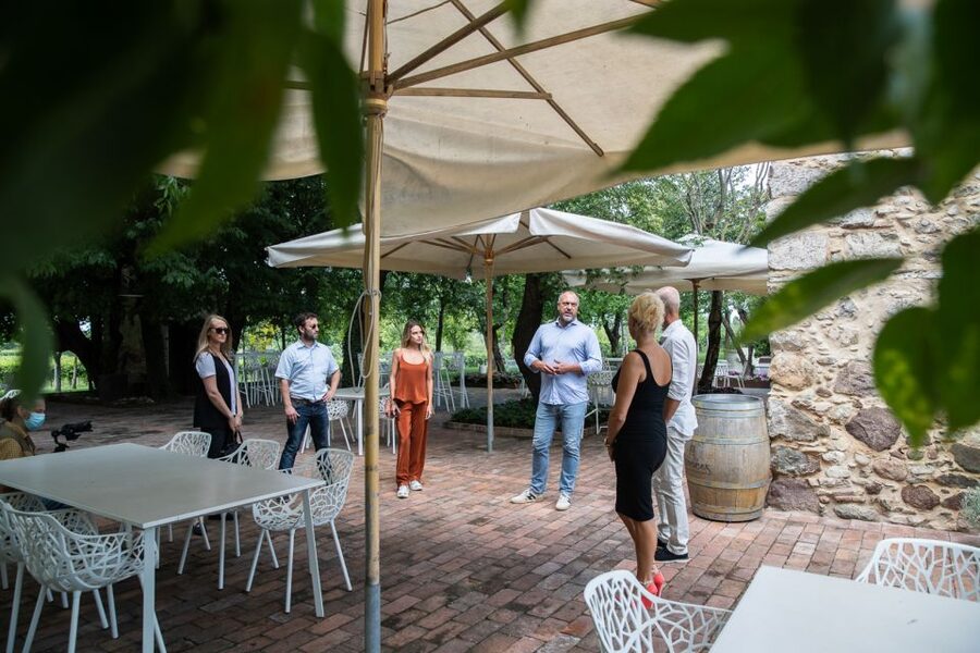 Lazise: Vineyard Tour and Organic Wine Tasting - Should you book this Lazise vineyard tour?