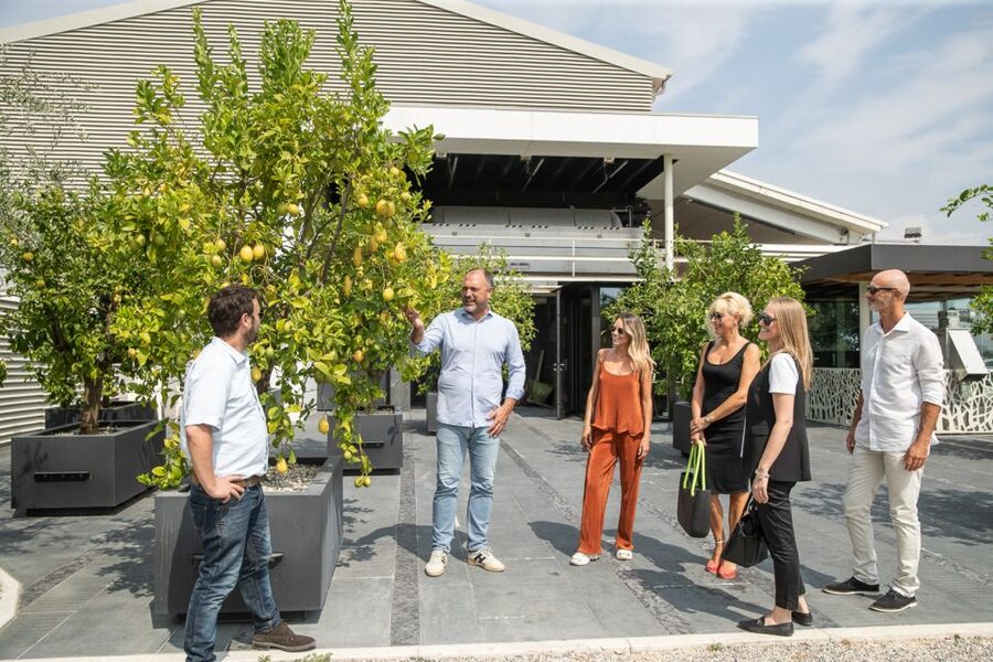 Lazise: Vineyard Tour and Organic Wine Tasting - A 1.5-hour organic winery stop just east of Lake Garda