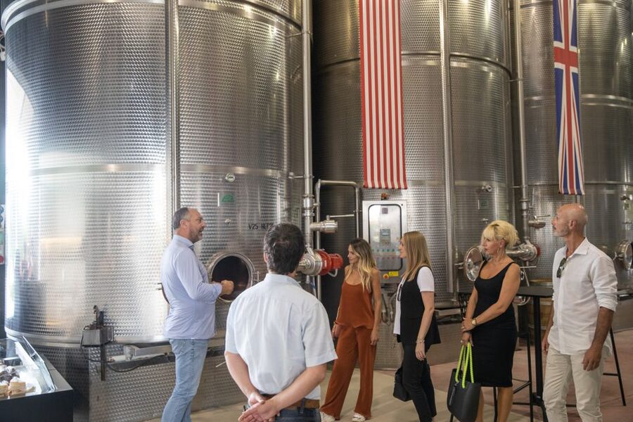 Lazise: Vineyard Tour and Organic Wine Tasting - The vineyard walk: grape varieties and sustainable farming in plain terms