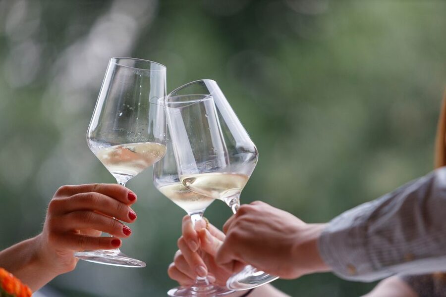 Lazise: Winery Tour with Garda Wines and Food Tasting - Key highlights I’d pencil into your plan