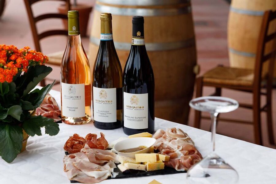 Lazise: Winery Tour with Garda Wines and Food Tasting - Underground cellar tour: fermentation and aging, up close