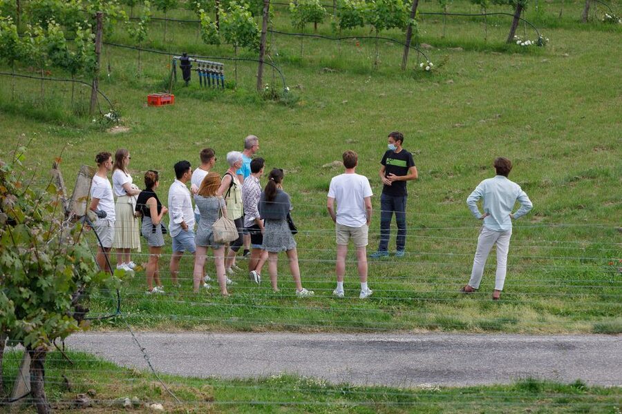 Lazise: Winery Tour with Garda Wines and Food Tasting - The Garda wine lineup: Bardolino, Chiaretto, Custoza and more