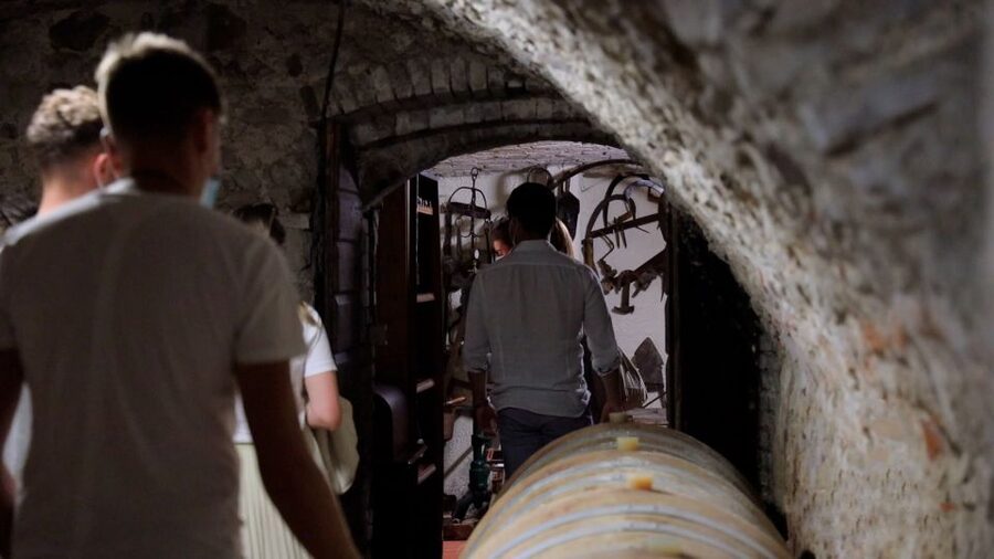 Lazise: Winery Tour with Garda Wines and Food Tasting - What $49 gets you in real terms (and why it feels fair)