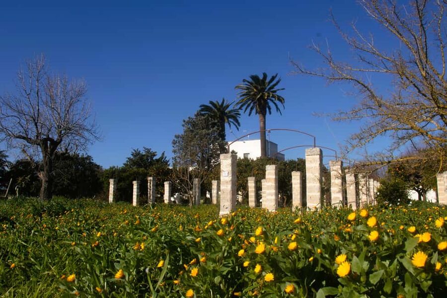 Lecce: Countryside Vineyard Walk & Wine Tasting - Casina Spezzaferri: Why This Feels More Like Salento Life Than a Standard Tour