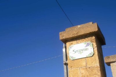 Lecce: Countryside Vineyard Walk & Wine Tasting - Vineyard Walk Through Salento Grapes and Old Agricultural Traditions