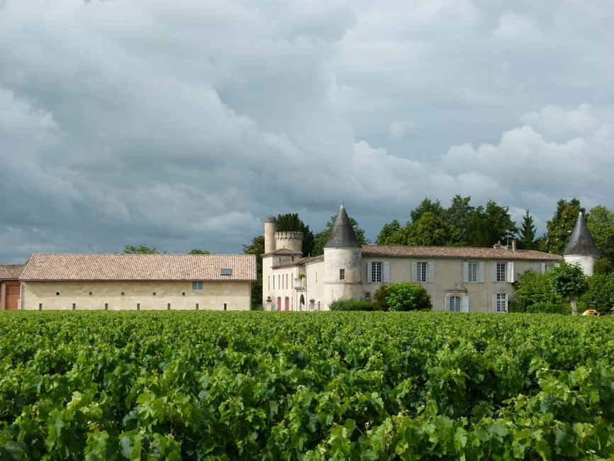 Libourne: Winery Tour with Wine and Chocolate Tasting - Vineyard walk: what you’re really learning about soil and farming