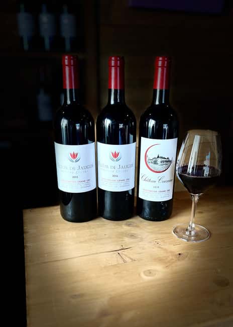 Libourne: Winery Tour with Wine and Chocolate Tasting - The tasting moment: 3 wines, 3 dark chocolates, and real pairing logic