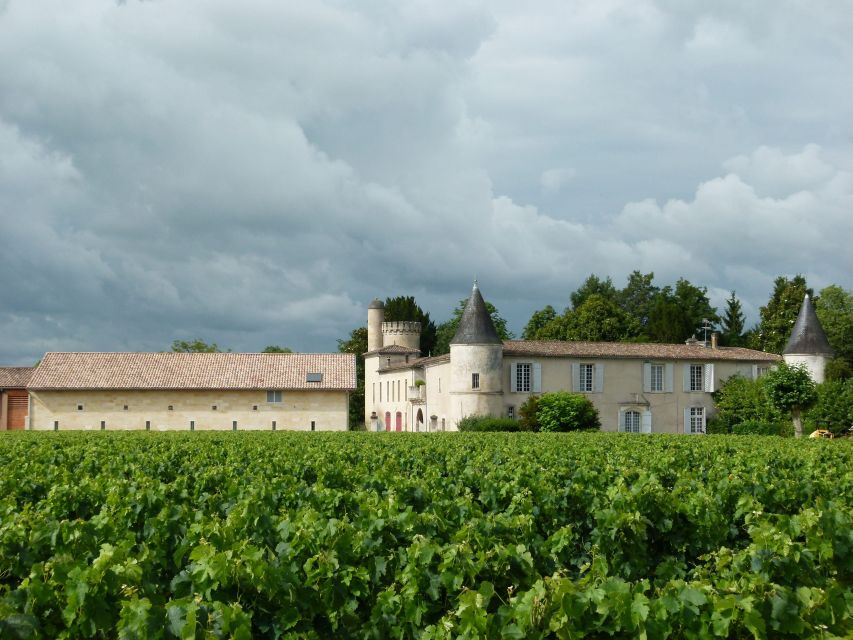 Libourne: Winery Tour with Wine and Chocolate Tasting - Tips so you get more out of your 75 minutes