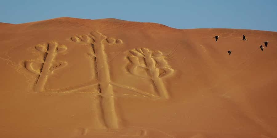 Lima: Ballestas Islands, Winery and Nazca Lines Private Tour - Key Points You Should Know