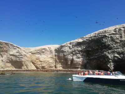Lima: Ballestas Islands, Winery and Nazca Lines Private Tour - Ballestas Islands by Long-Tail Boat: wildlife first, photos second